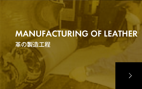 革の製造工程
